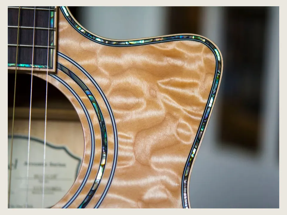 Acoustic Guitar instrument