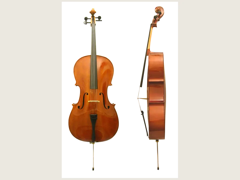 Cello instrument