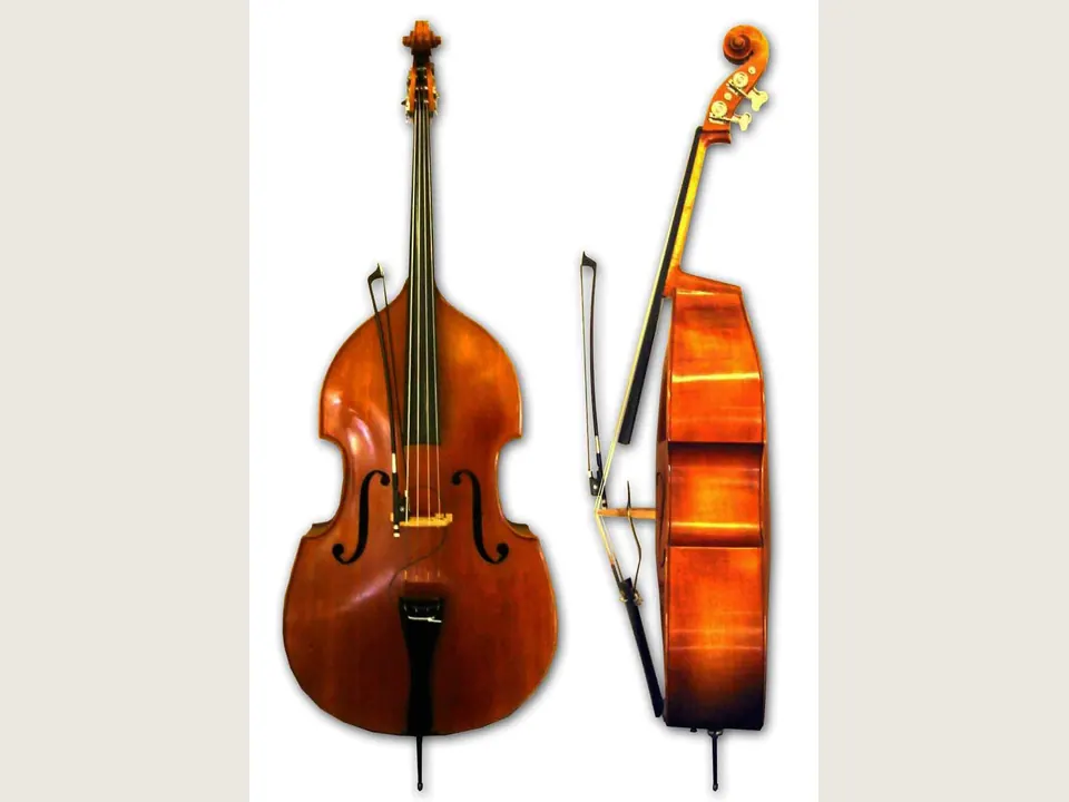 Double Bass instrument