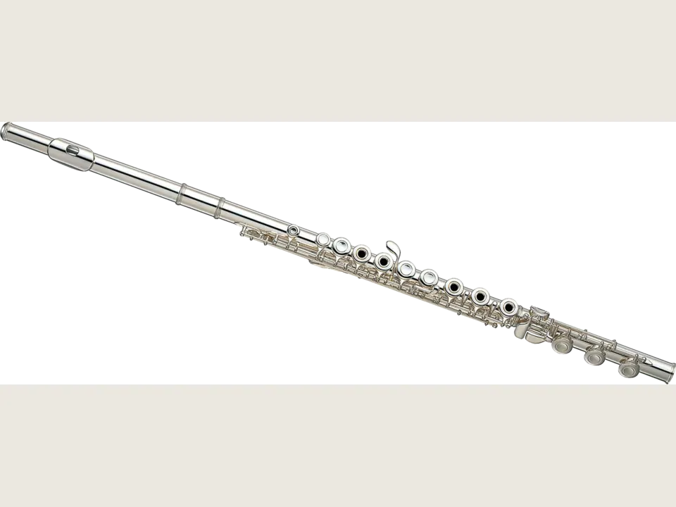 Flute instrument