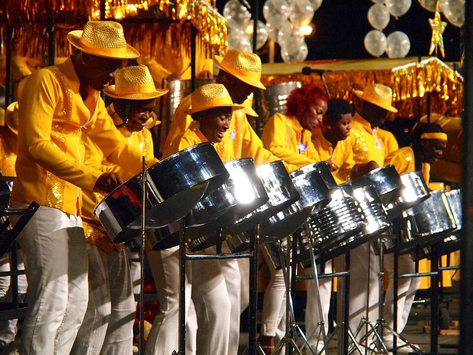 Steelpan instrument