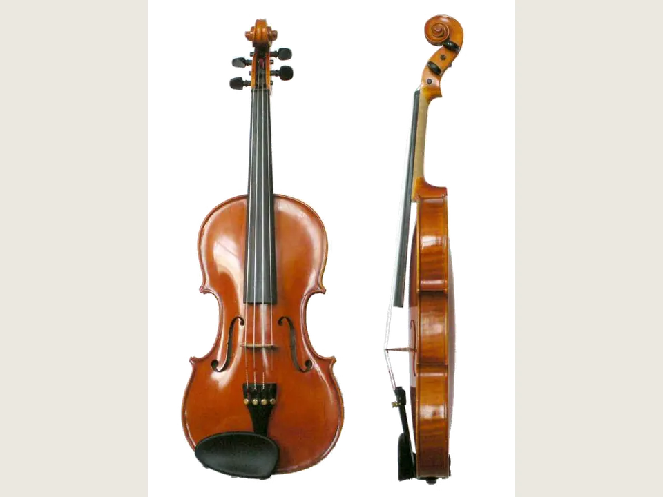 Violin instrument