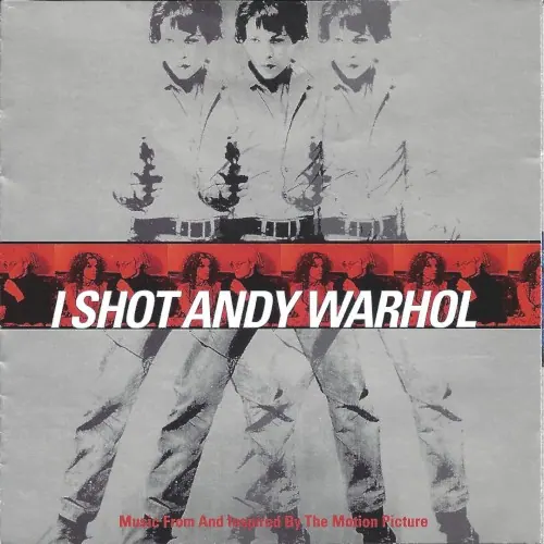 I Shot Andy Warhol cover
