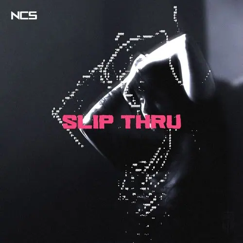 Slip Thru cover