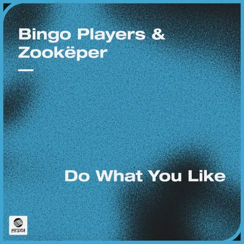 Do What You Like cover