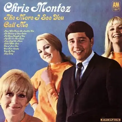 The More I See You/Call Me cover