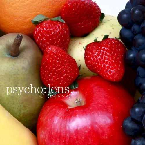 psycho:lens. cover