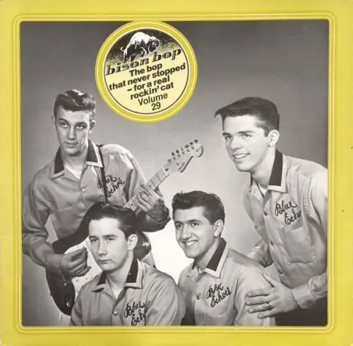 Bison Bop: The Bop That Never Stopped – for a Real Rockin’ Cat, Volume 29 cover