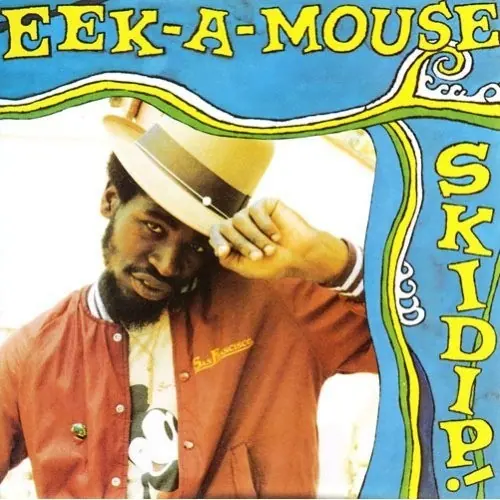 Skidip! cover