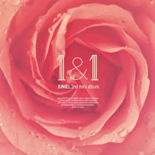 1&1 cover