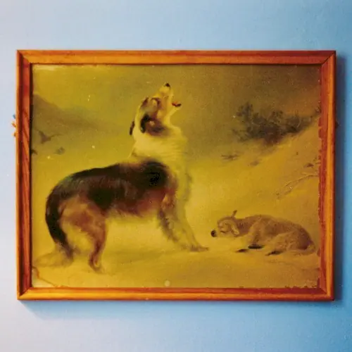 The Rescue cover