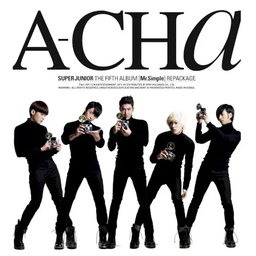 Mr. Simple cover