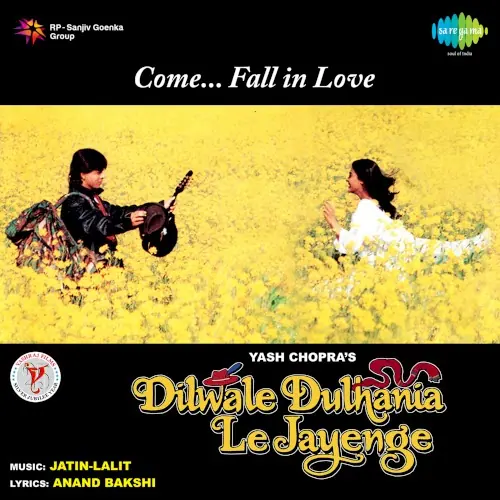 Dilwale Dulhania Le Jayenge (dialogues version) cover
