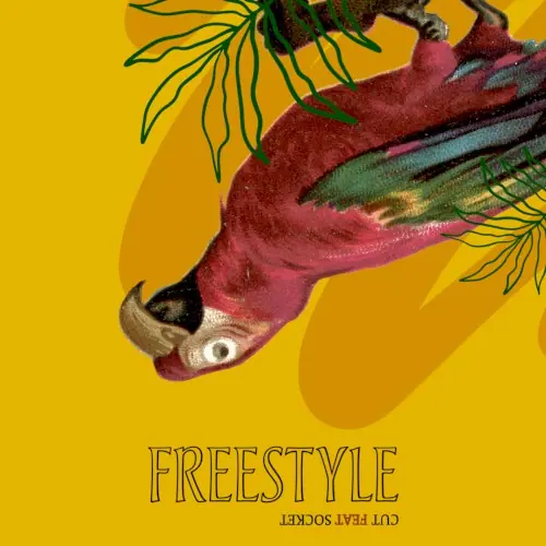 Freestyle cover