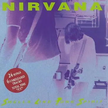 Smells Like Punk Spirit cover