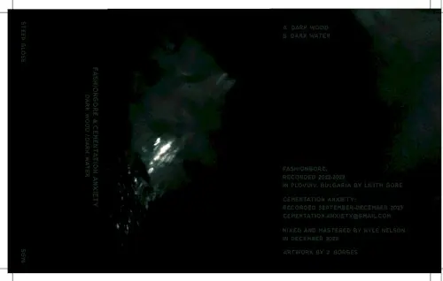 Dark Wood, Dark Water cover