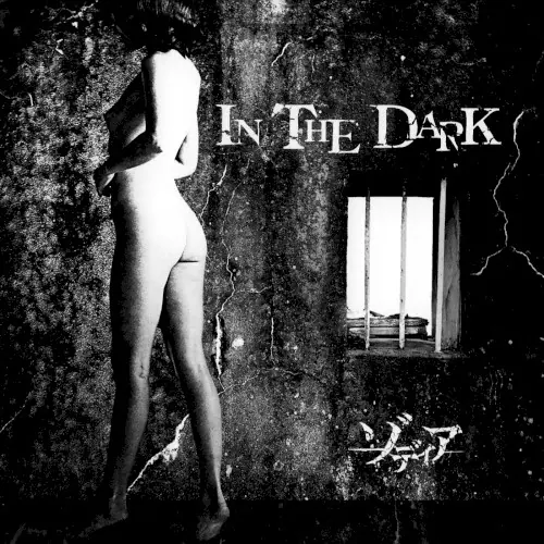 IN THE DARK cover