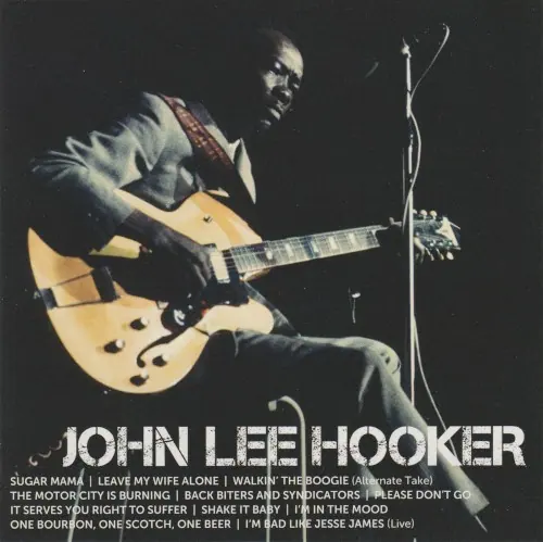 Icon cover
