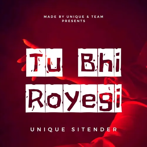 Tu Bhi Royegi封面