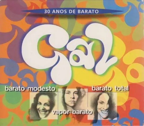 30 anos de barato cover