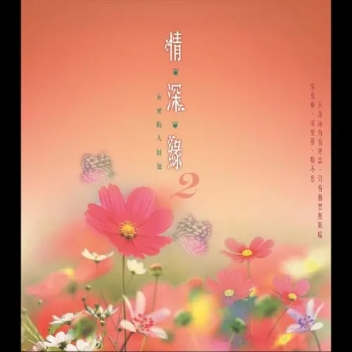情 . 深 . 緣2至愛動人回憶 cover