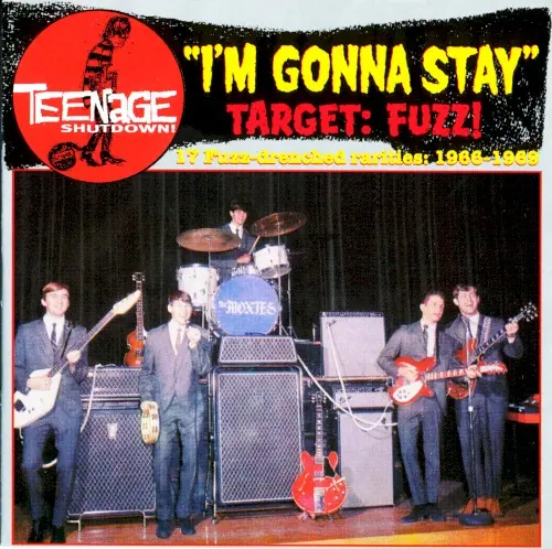 Teenage Shutdown! "I'm Gonna Stay" cover
