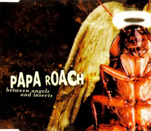 Between Angels and Insects cover