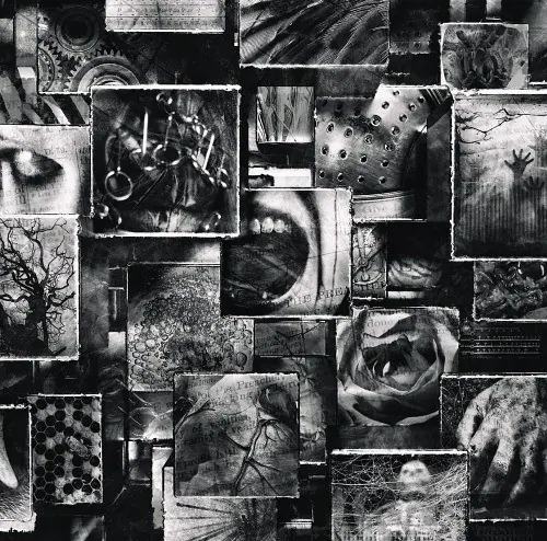 ENIGMA cover