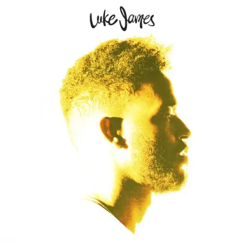 Luke James封面