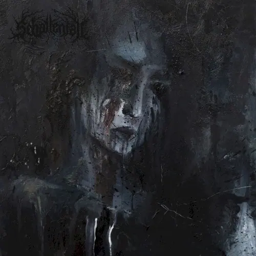 Schatten in Schwarz cover