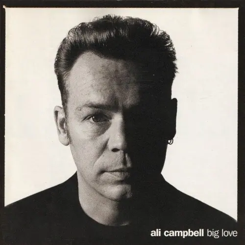 Big Love cover