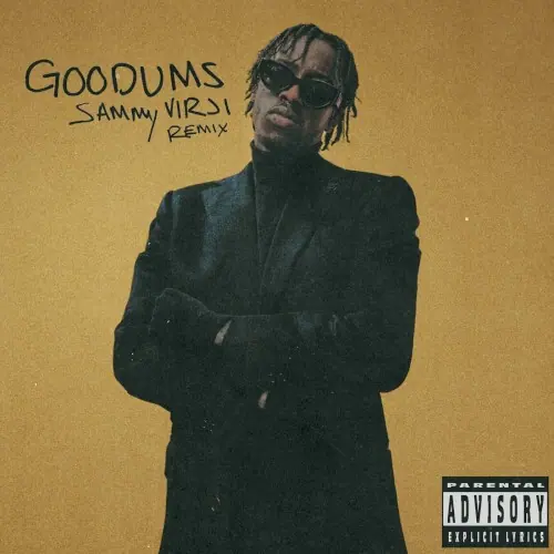 Goodums (Sammy Virji remix) cover