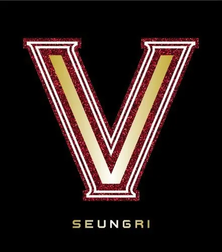 VVIP cover