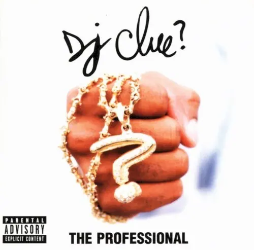 The Professional cover