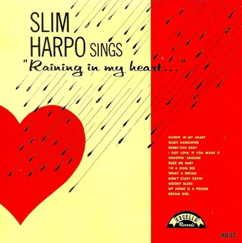 Raining In My Heart... cover
