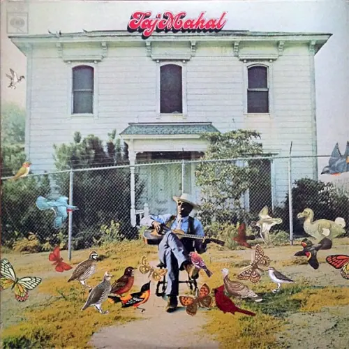 Taj Mahal cover