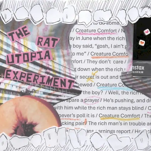 Creature Comfort封面