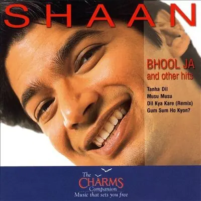 Bhool Ja and Other Hits封面