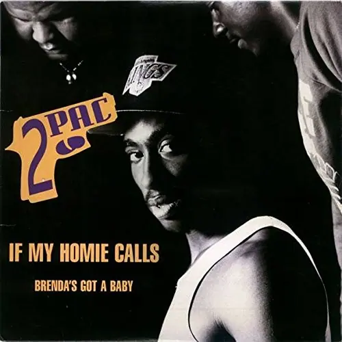 If My Homie Calls / Brenda’s Got a Baby cover