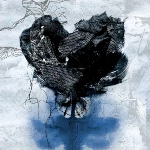 silk tree. cover