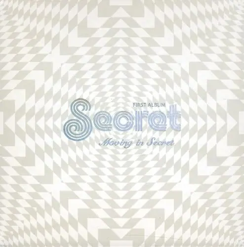 Moving In Secret cover