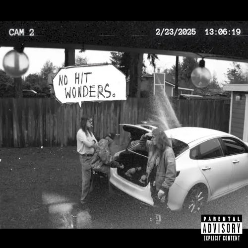 No Hit Wonders. cover