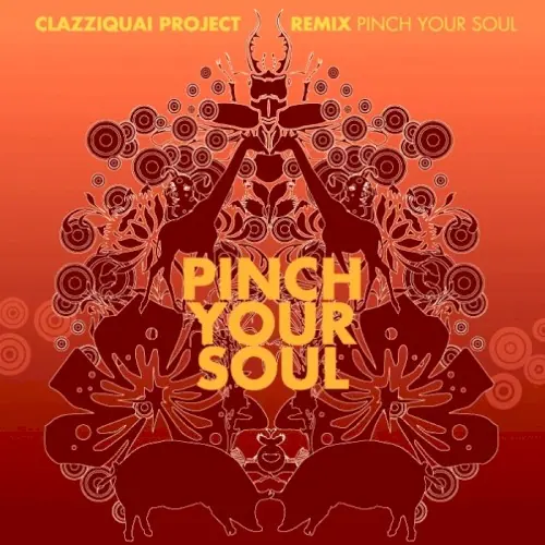 PINCH YOUR SOUL cover