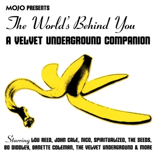 The World's Behind You: A Velvet Underground Companion封面