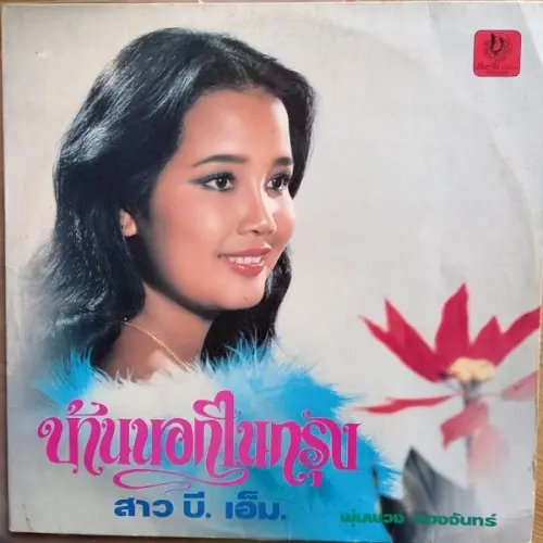 บ้านนอกในกรุง cover
