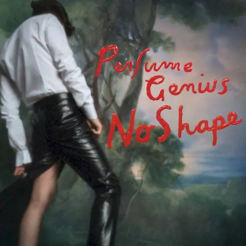 No Shape cover
