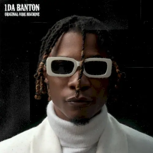 Original Vibe Machine cover