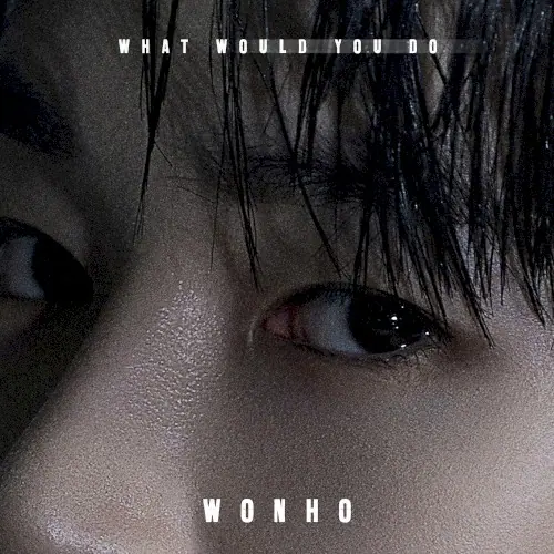 What Would You Do cover