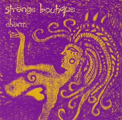 Charm cover