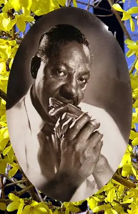 Sonny Boy Williamson photo